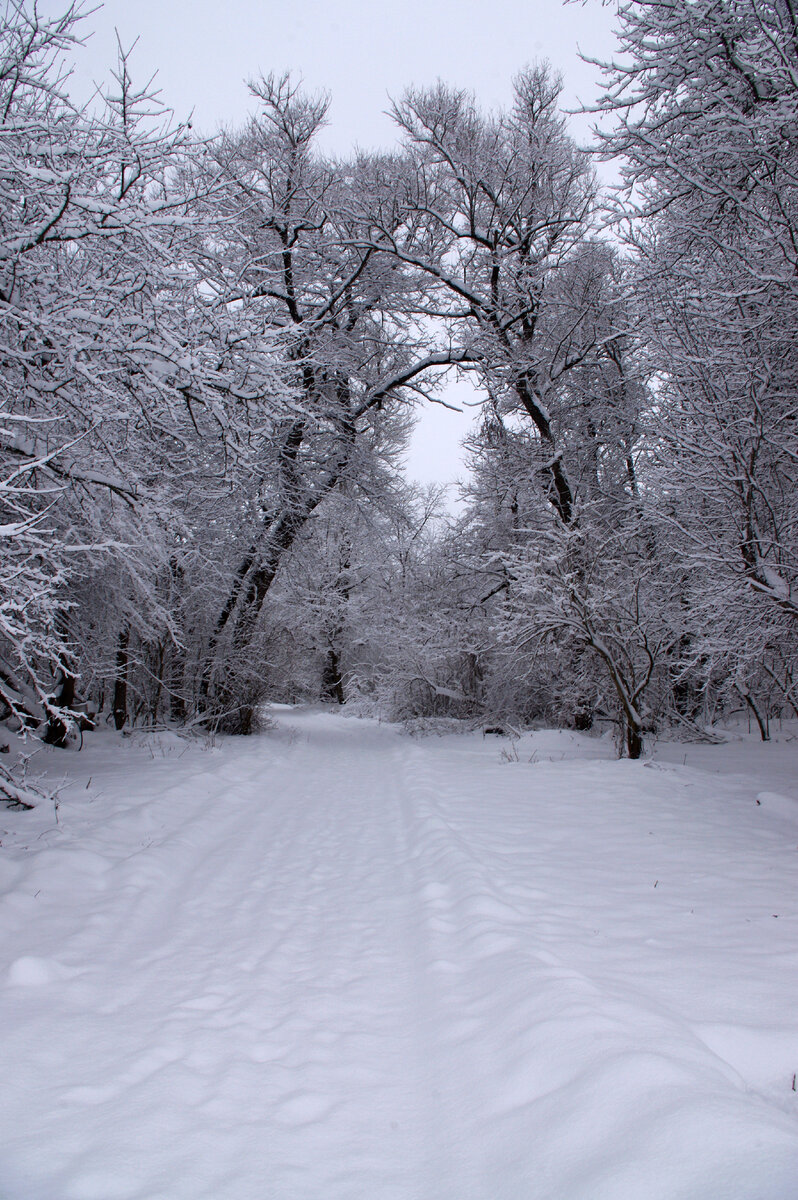 Дорога к реке Ходзь.