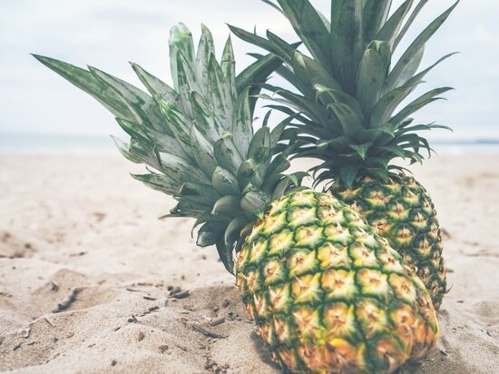     ФОТО: PXHERE.COM