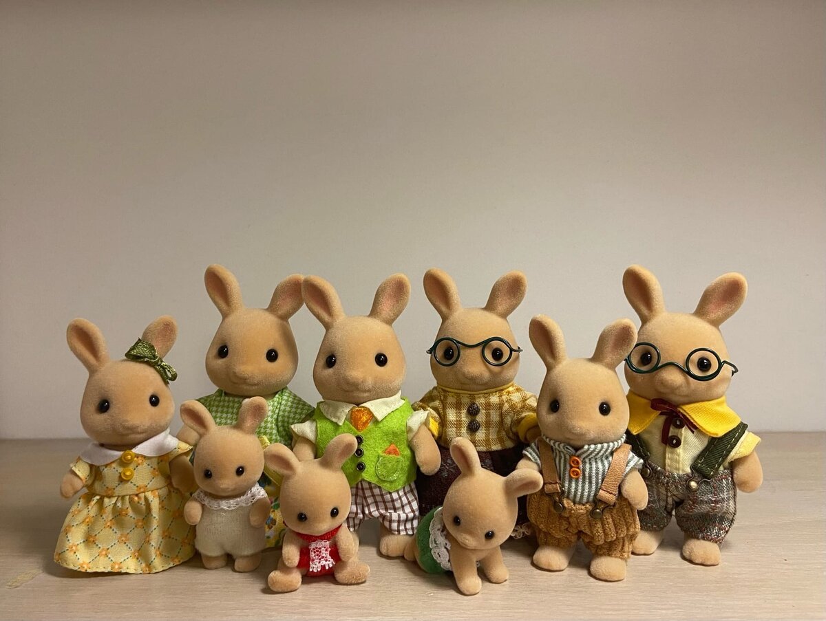 Sylvanian Families Sunny rabbits - семья солнечных кроликов из серии Easy  buy | Коробка с зайчиками | Дзен