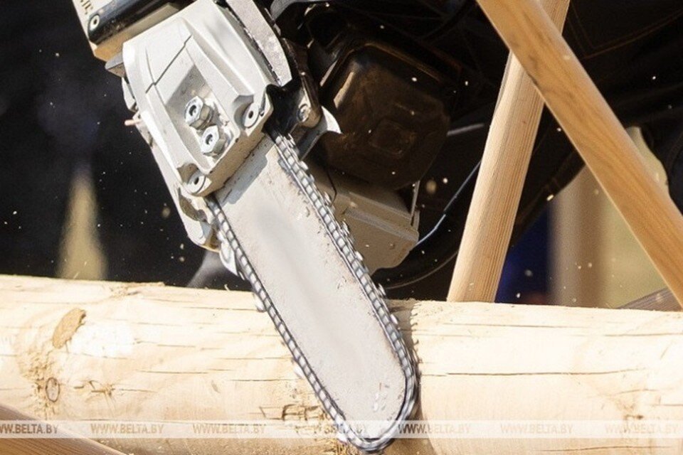     Кому-то приглянулись бензопилы, которые перевозил белорус по Германии. Фото: БелТА