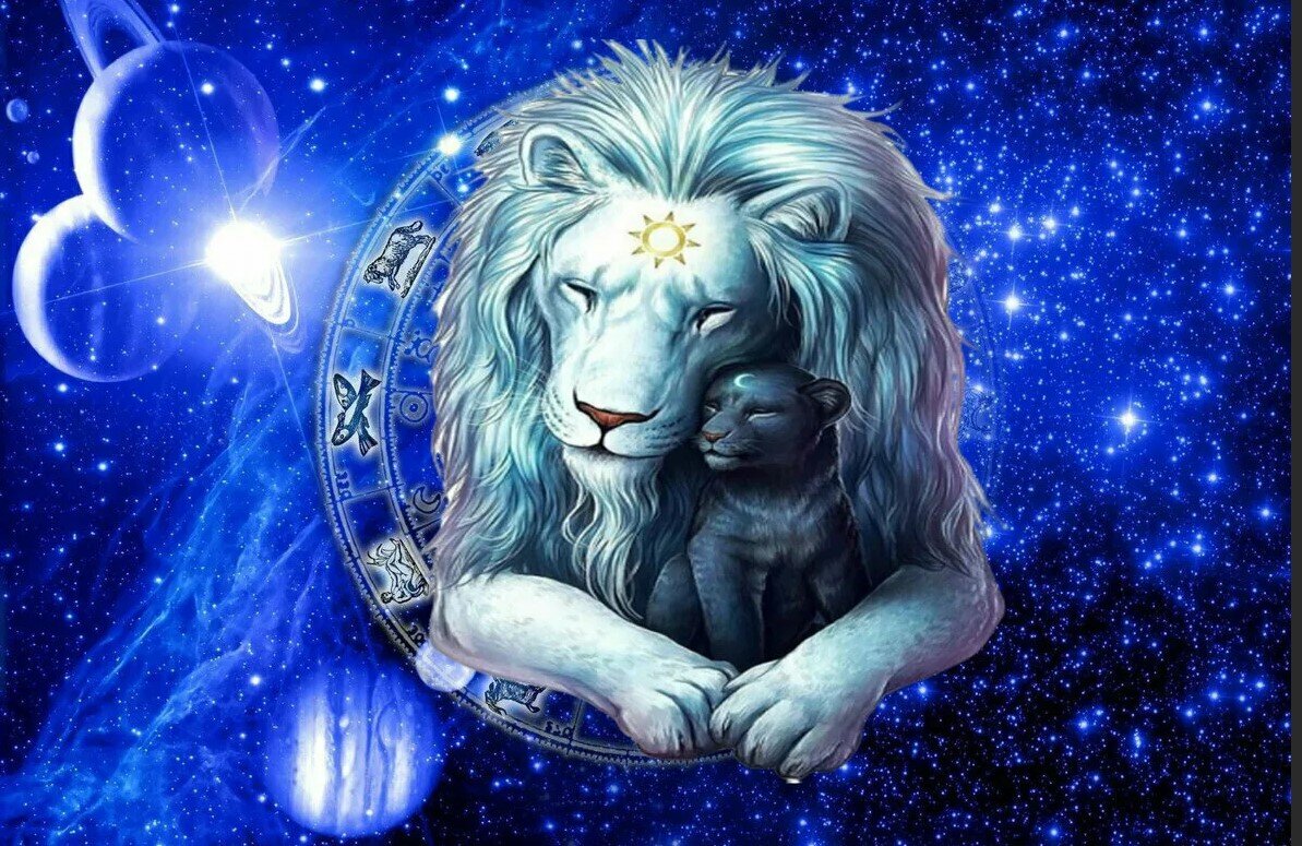 Как ведут себя Львы во время болезни