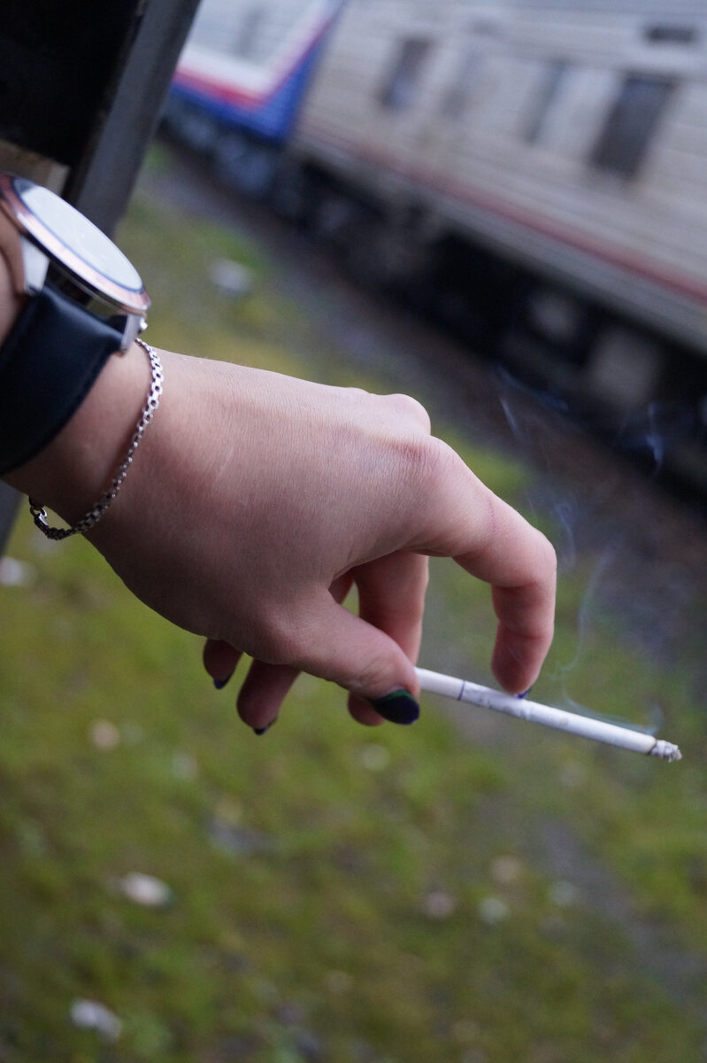 Москва-3. Отдых после поездки в ранжирном парке. 