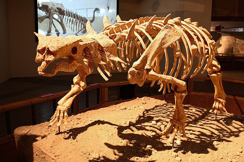    Скелет Pinacosaurus grangeriWikimedia