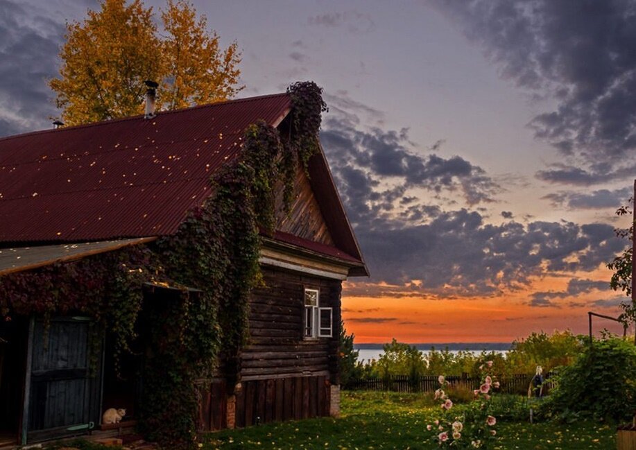 Деревенский домик. Лето в деревне. Деревня ярославичи ленинградская. Деревни россии. Красивые виды деревни.