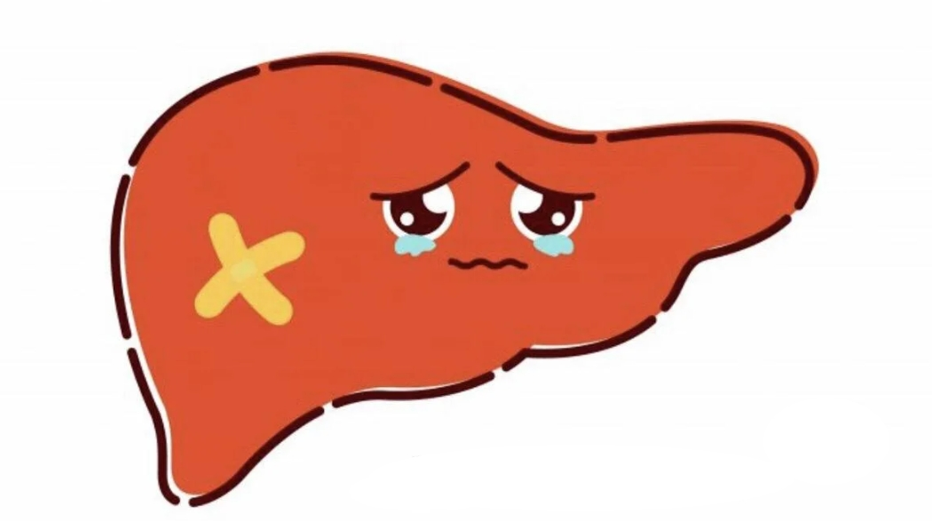 Спасите вашу печень!