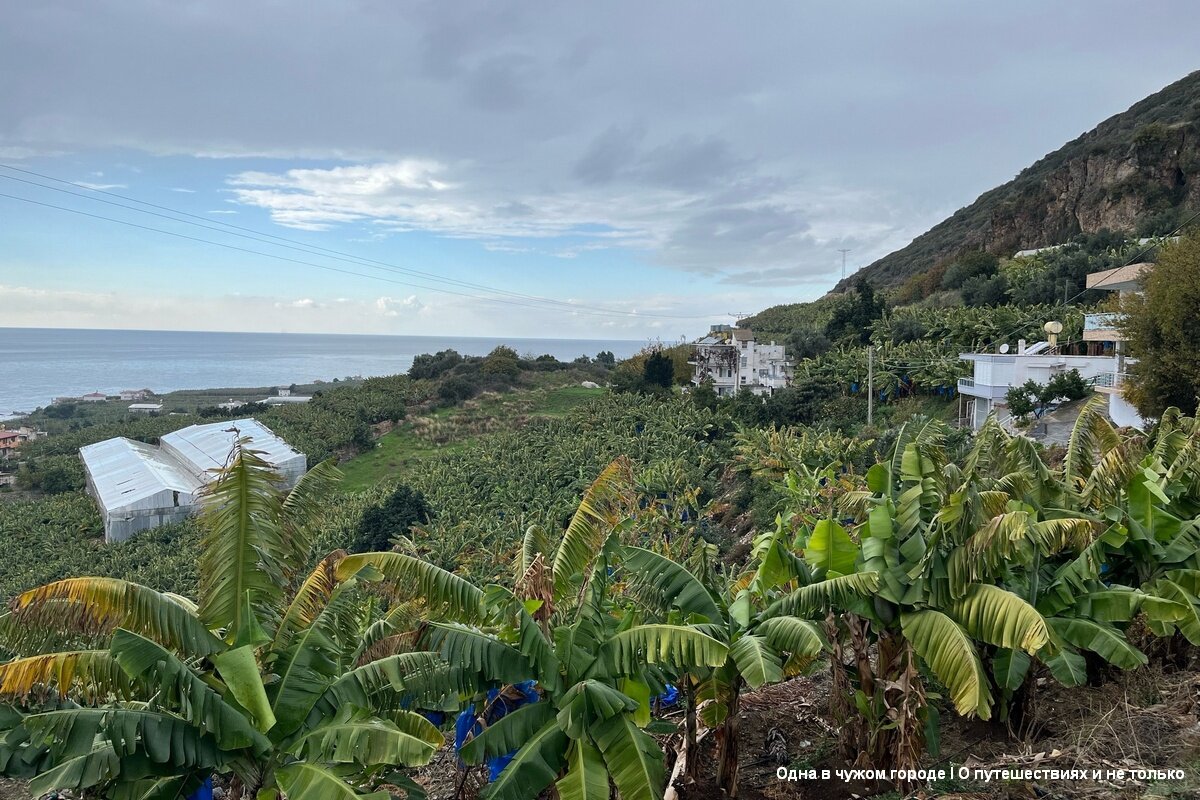 Эта зима в Аланье выдалась аномально теплой и солнечной, но именно в этот день, именно в тот момент, когда мы вышли из автобуса заморосил дождь. Но половина пути была уже позади и мы решили продолжить путь. 