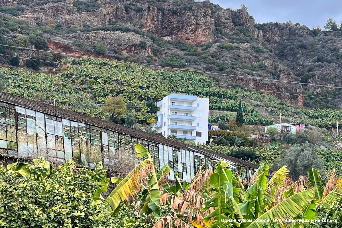 Эта зима в Аланье выдалась аномально теплой и солнечной, но именно в этот день, именно в тот момент, когда мы вышли из автобуса заморосил дождь. Но половина пути была уже позади и мы решили продолжить путь. 