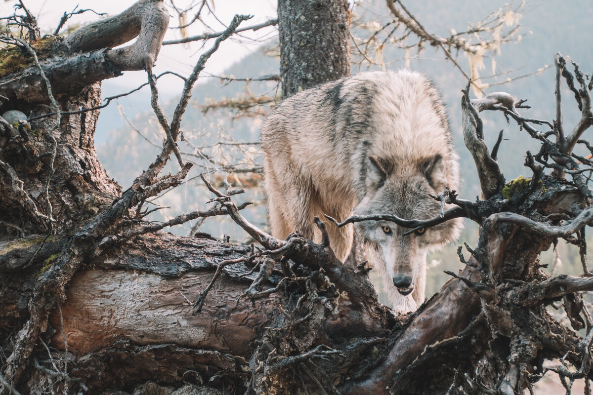Photo by Brianna R. on Unsplash