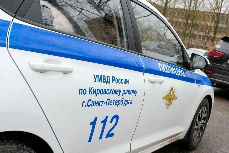     Полиция задержала преступника, устроившего поножовщину на Московском проспекте Артем КИЛЬКИН (архив)