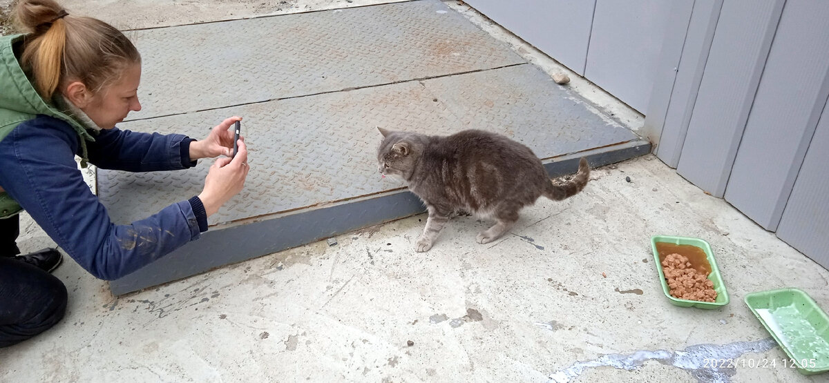 Мы стали готовить его для пристройства