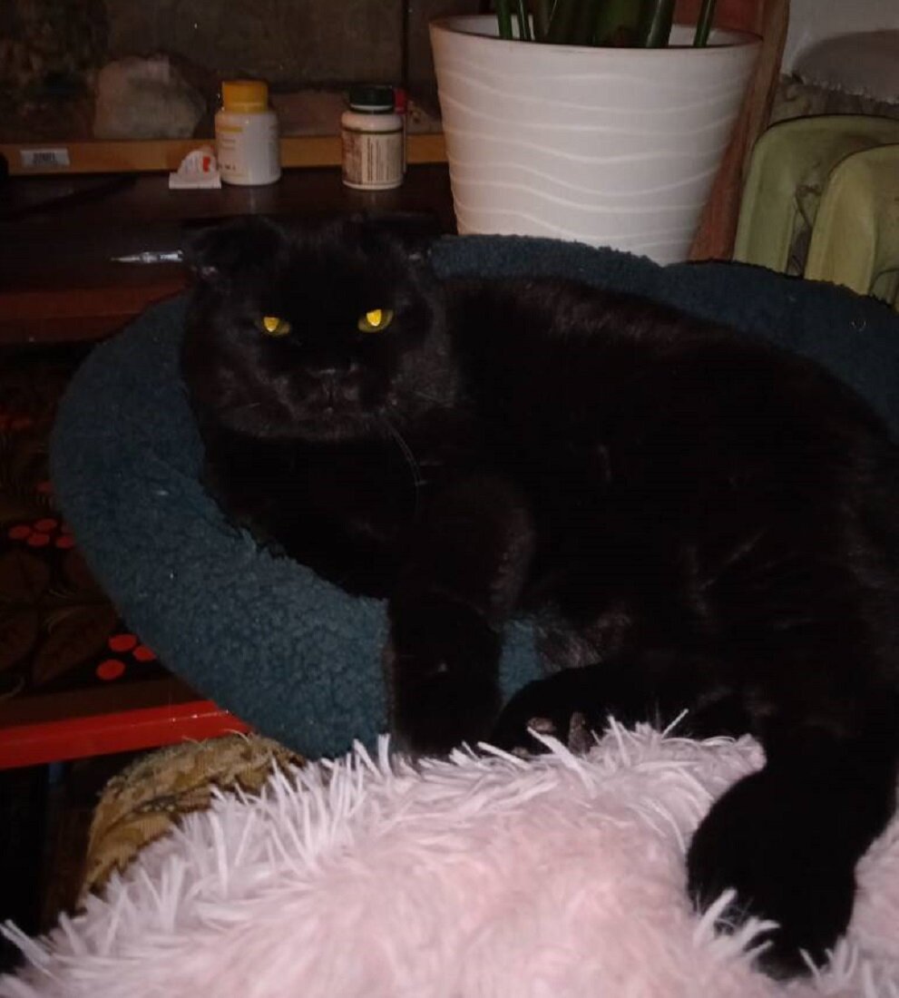 из серии "Найти чёрную кошку в тёмной комнате" ))) 