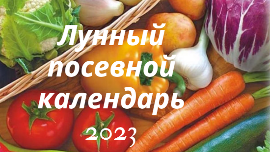 Лунно посевной календарь 2023 года садовода