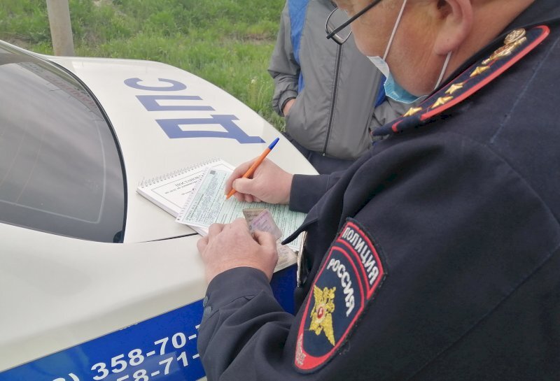 Под машину попала птица
