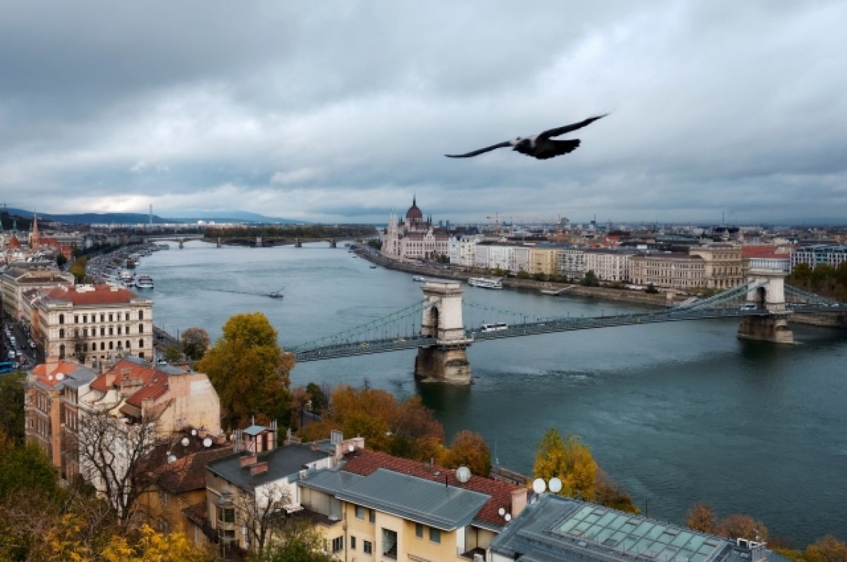    Венгрия назвала условие для поддержки движения Украины в НАТО и ЕС