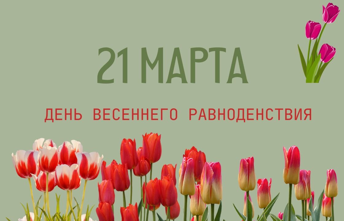 Макет сделан автором канала в Канве.