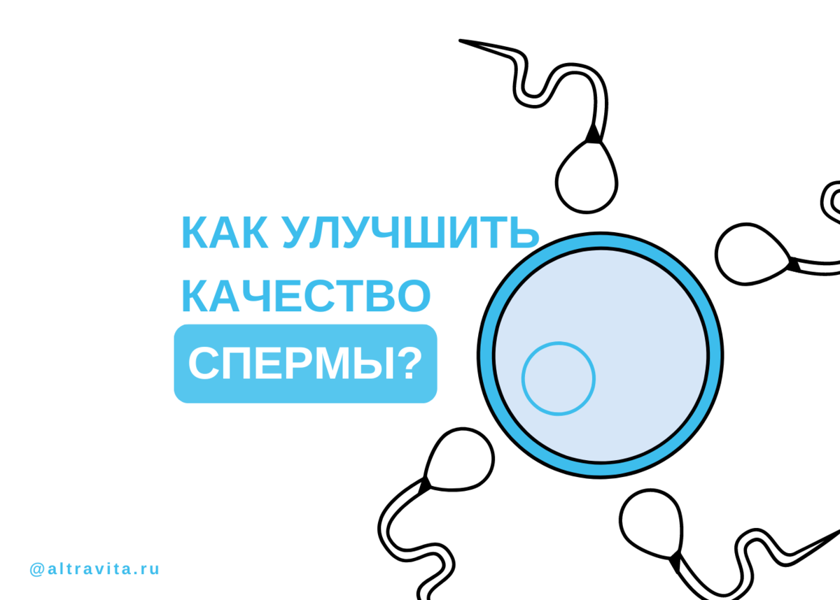 Продукты для улучшения качества спермы. Какие выбрать? | Блог EVACLINIC IVF