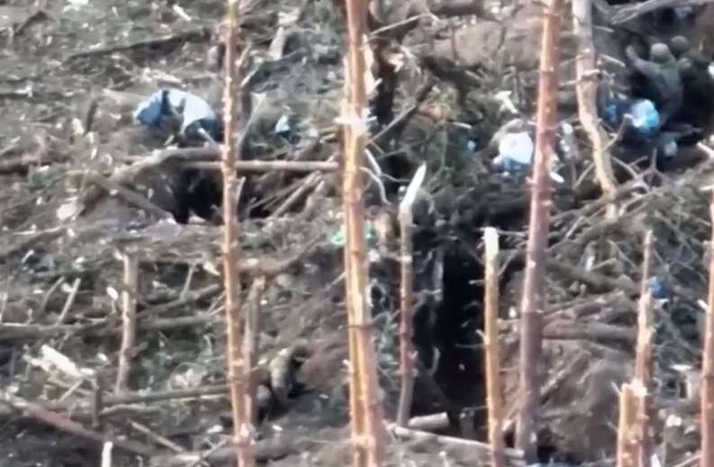    Русский солдат, какой и должен быть: рассказали о подвигах простого героя из Клинцовской дивизии Александра «Кубань» Мальцева avchernov