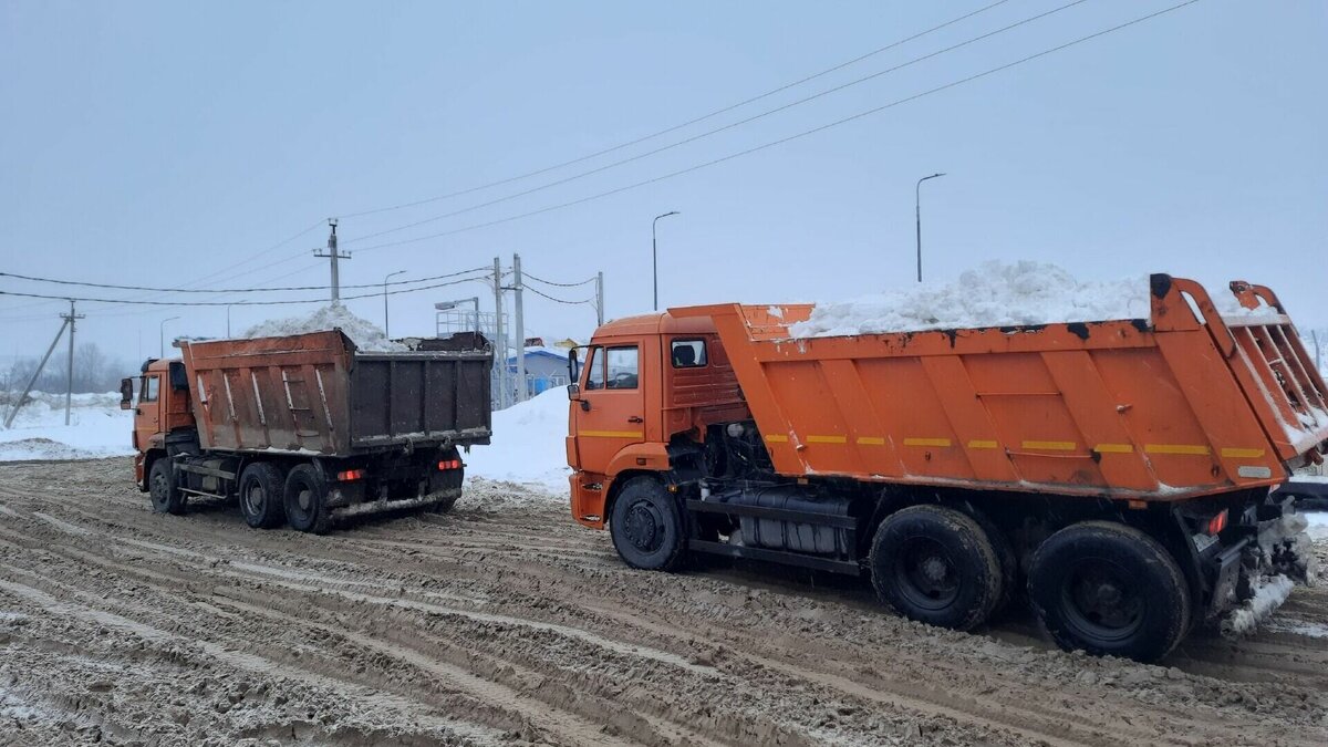     Снег не растает до конца марта в Нижнем Новгороде. Об этом NewsNN рассказала начальник отдела метеопрогнозов Гидрометцентра ФГБУ «Верхне-Волжское УГМС» Ольга Мокеева.