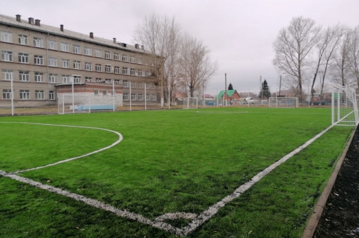 Заросшее футбольное поле