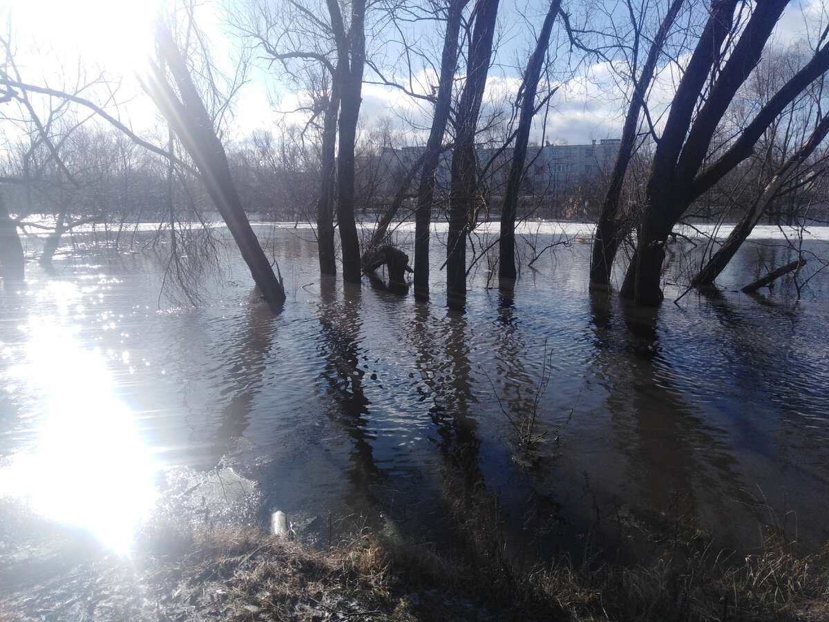 Река сердоба сегодня. Разлив реки. Река разлилась. Разлив реки Сердоба в этом году. Разлилась речка быстрая.