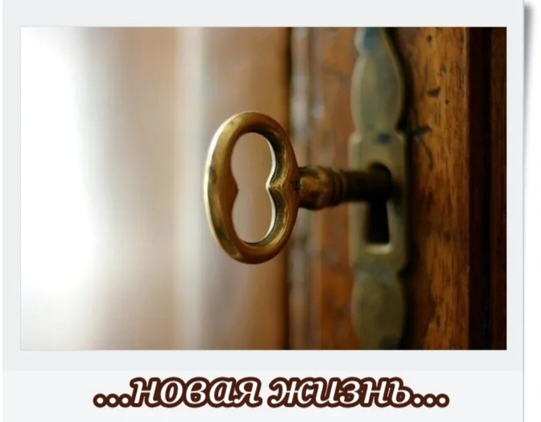 Фото взято из открытых источников 