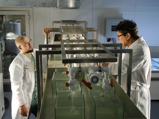     фото: Александр Земляниченко