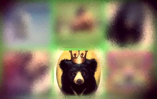 Тест выберите животное медведь. Презентация концерн медведь. Выбери медведь. Неофициальные символы россии медведь. Кто быстрее собака или медведь.