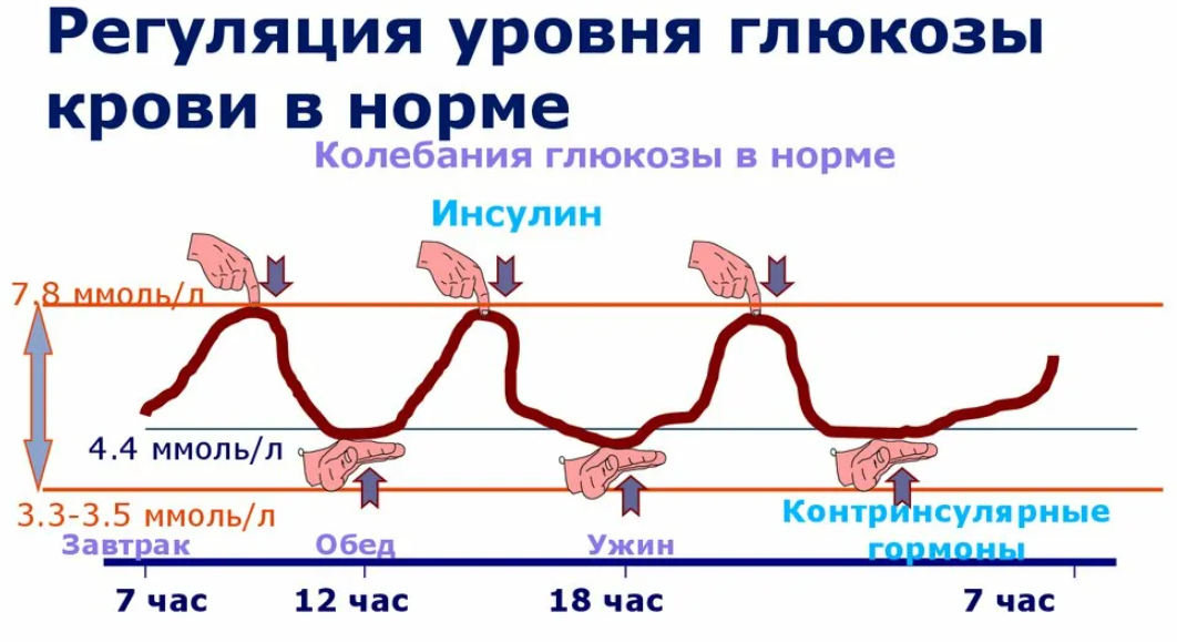 Инсулин и сахар в чем разница