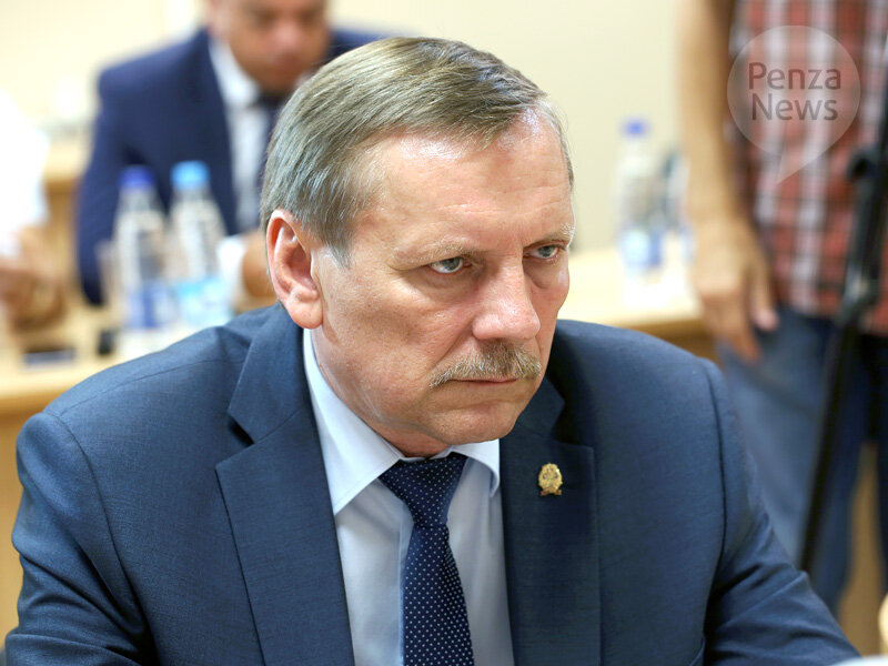    © Фото из архива ИА «PenzaNews»