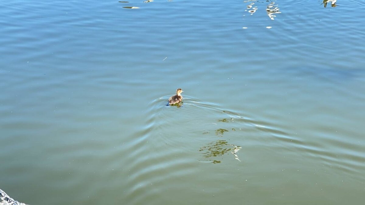 ИА SM-News Тюмень📷
