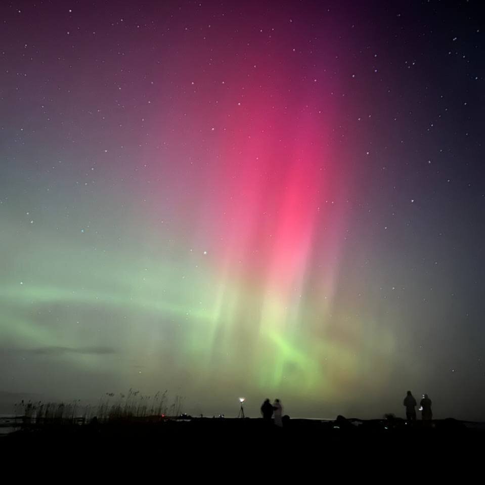 Фото из интернета. 