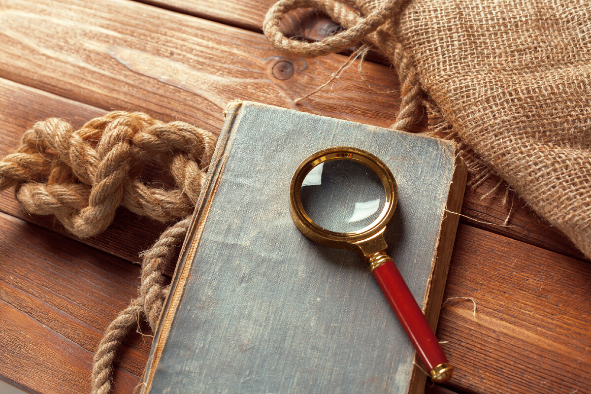 Изображение взято из открытых источников