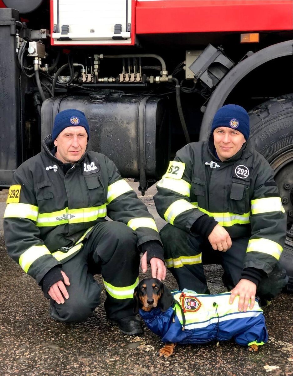    ГКУ МО «Мособлпожспас»/Telegram