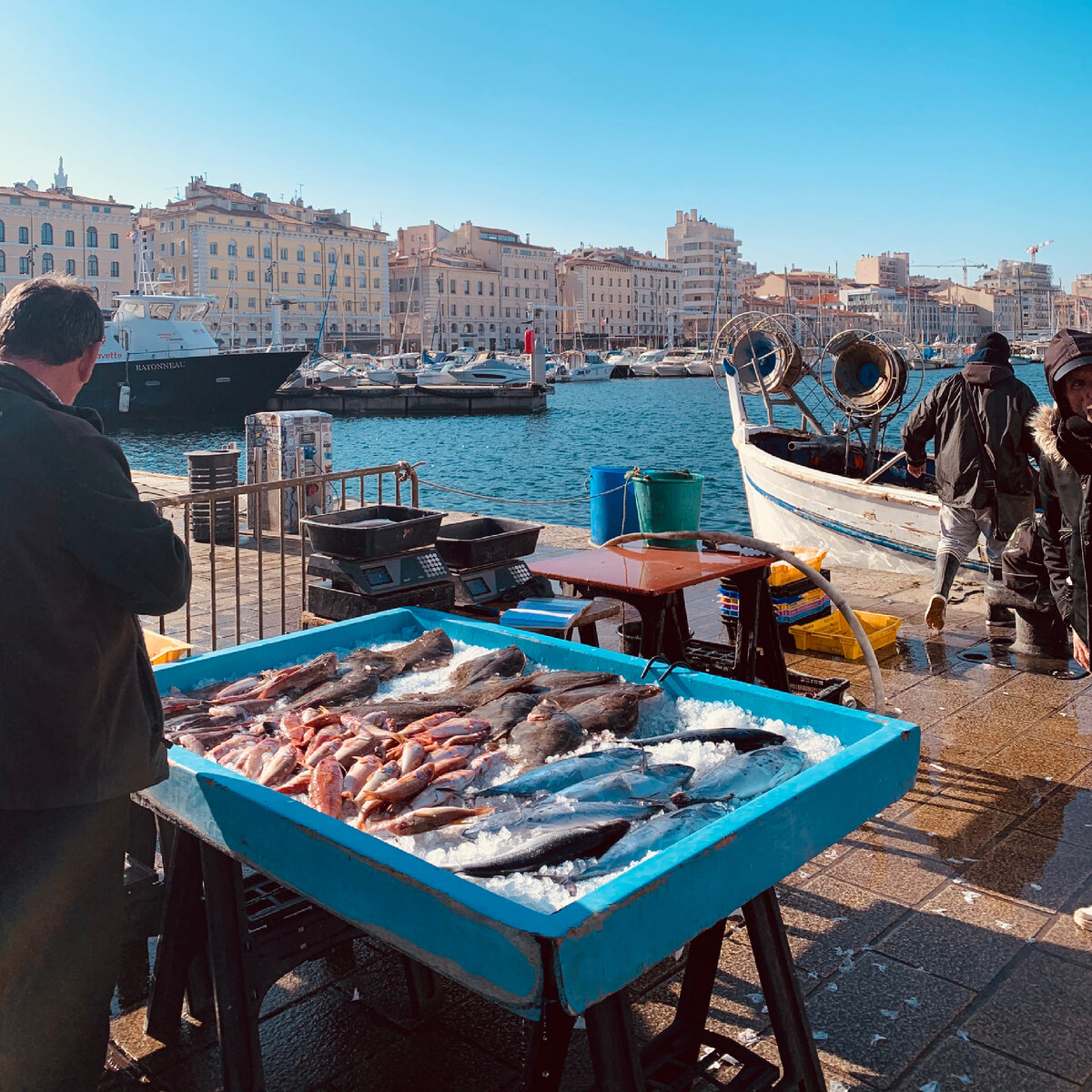 Свежайша рыба продается с лотков прямо в порту