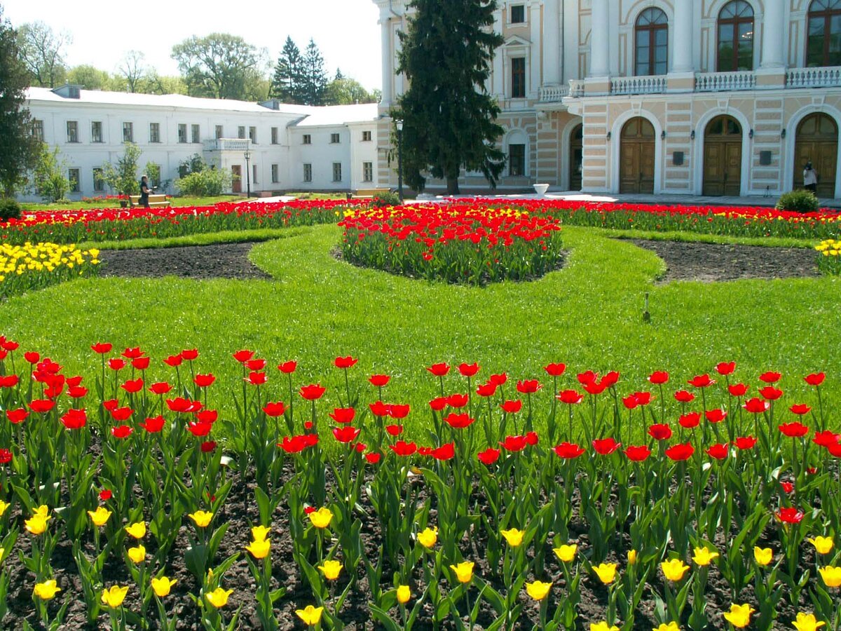 Дворцово-парковый ансамбль «Марьино», центральная клумба, апрель 2012.