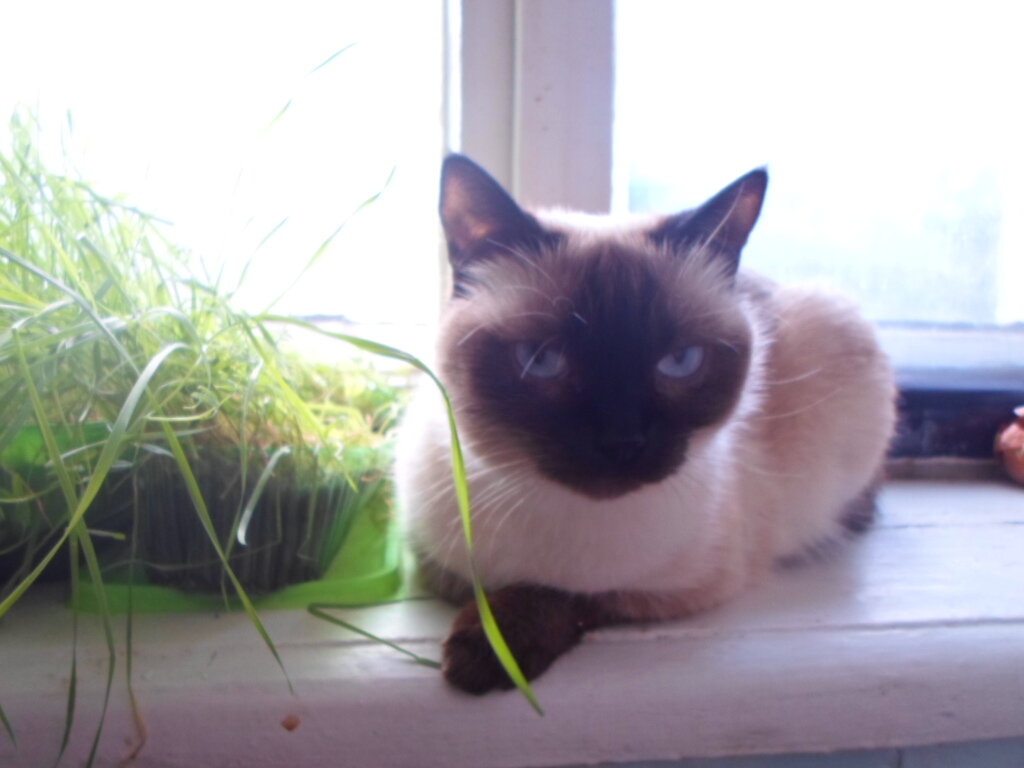 Говорят, если за чем-то постоянно наблюдать, оно быстрее вырастет😅