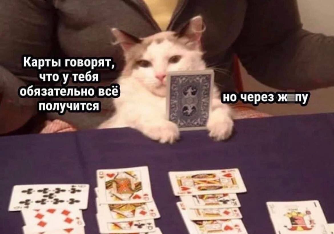 У котика хотя бы лапки...