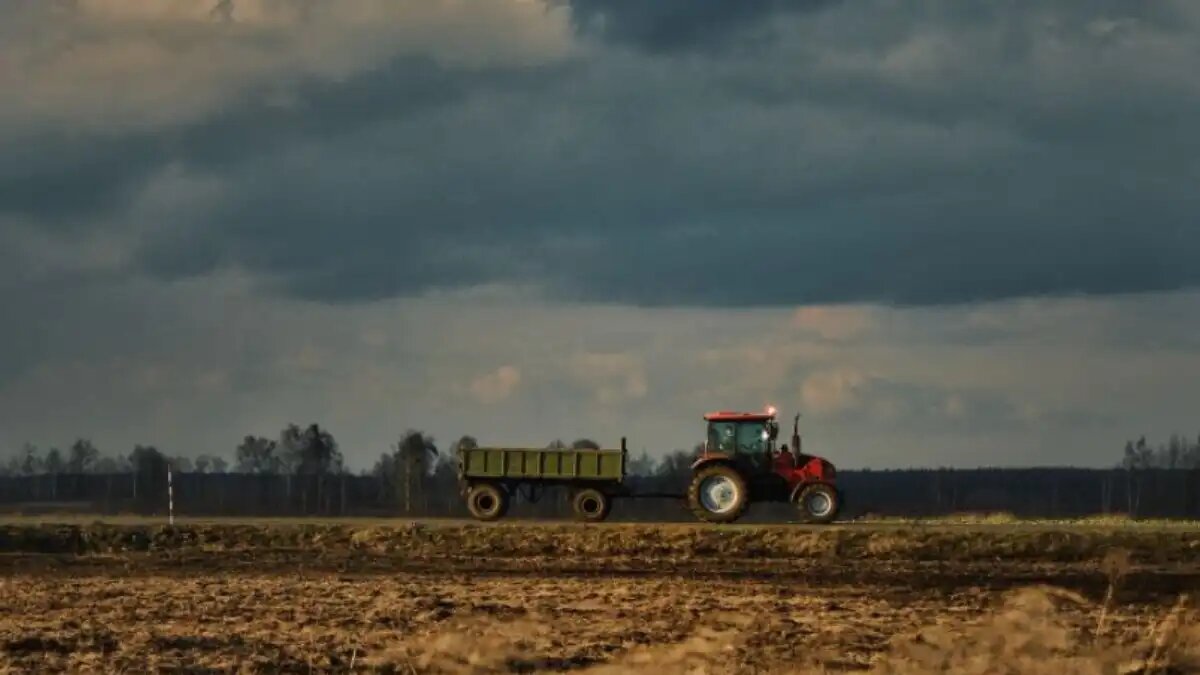 Фото:glavagronom.ru