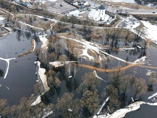     Фото: Городской Сад Тверь (Дирекция парков)