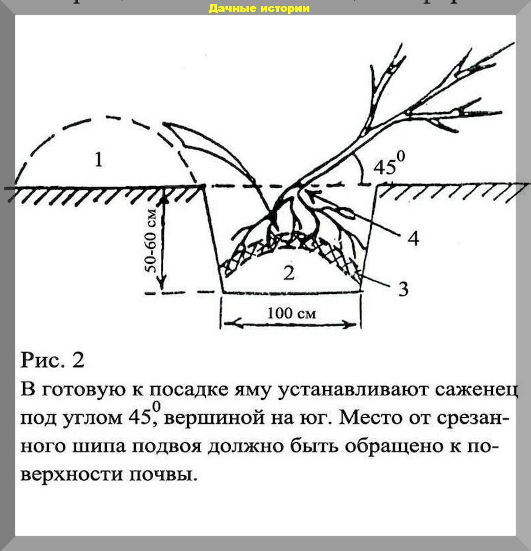 https://vk.com/photo-159774511_457259581