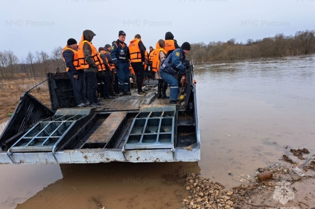 Половодье в тульской области 2024