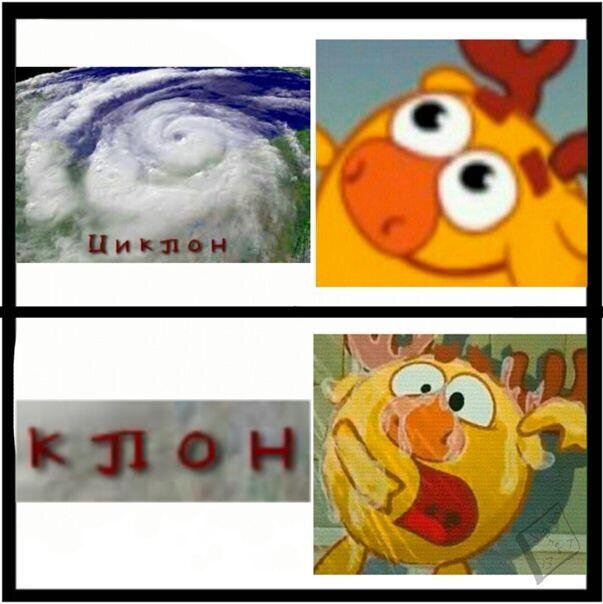 Смешарики мемы смешные с надписями до слез