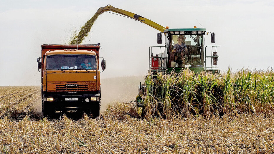    Автор фото: из архива