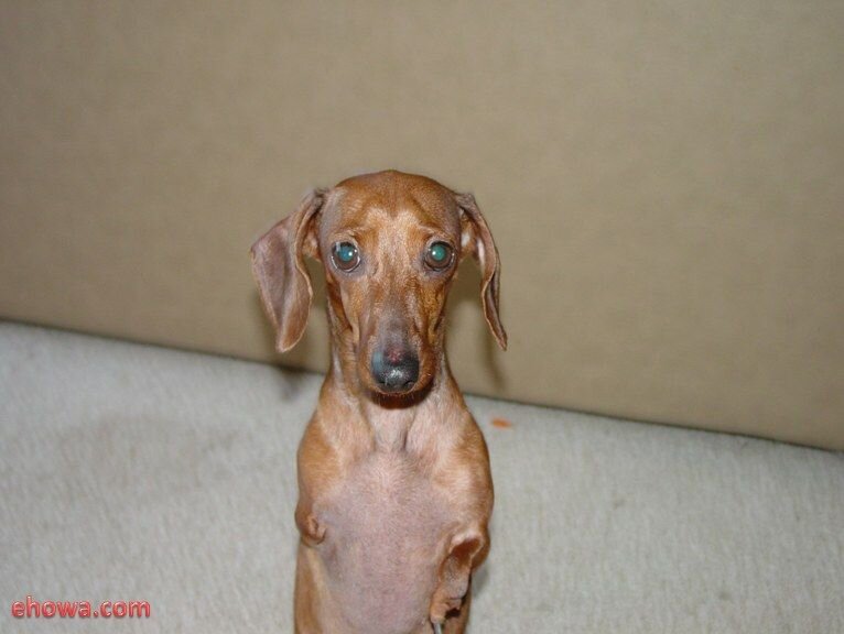 Яндекс.Карты.