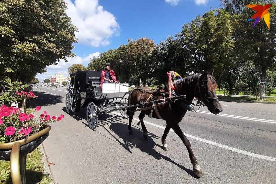     В Солигорском районе ловили грабителя на конной упряжке. Фотоиллюстрация: архив «КП»