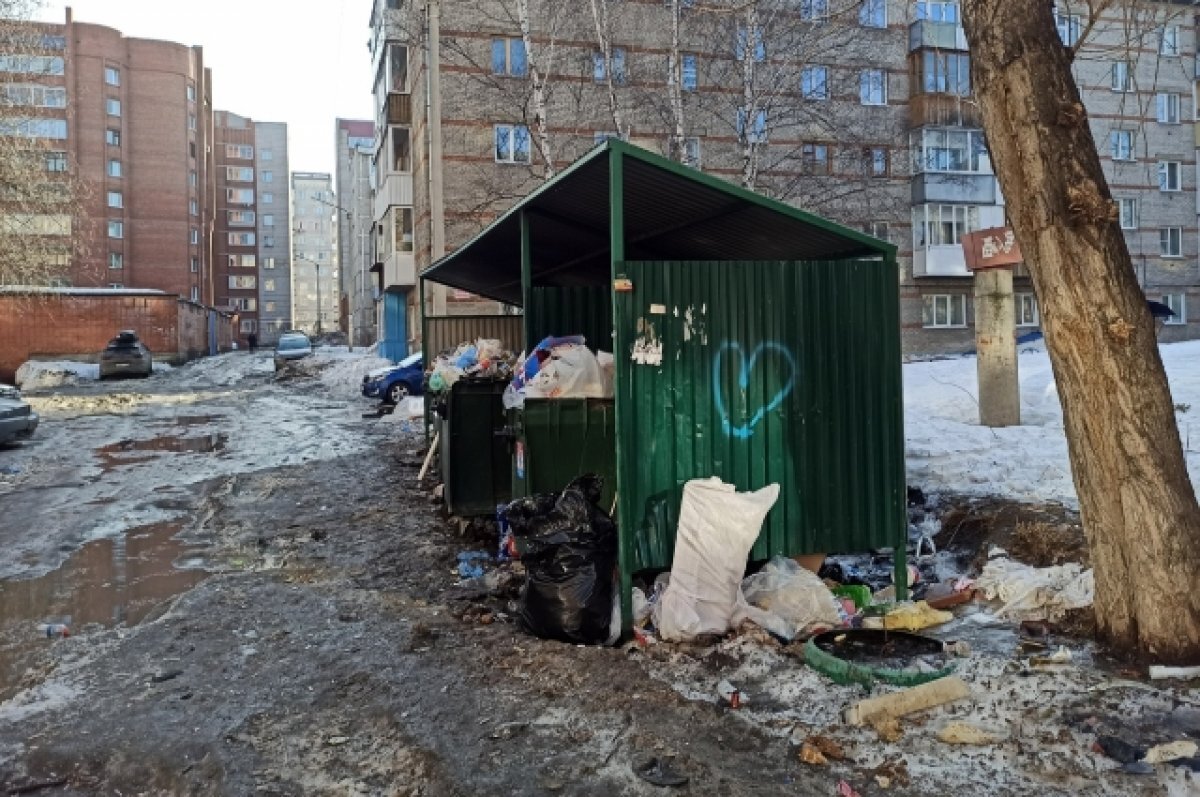    Томичка пожаловалась на отвратительное состояние мусорной площадки
