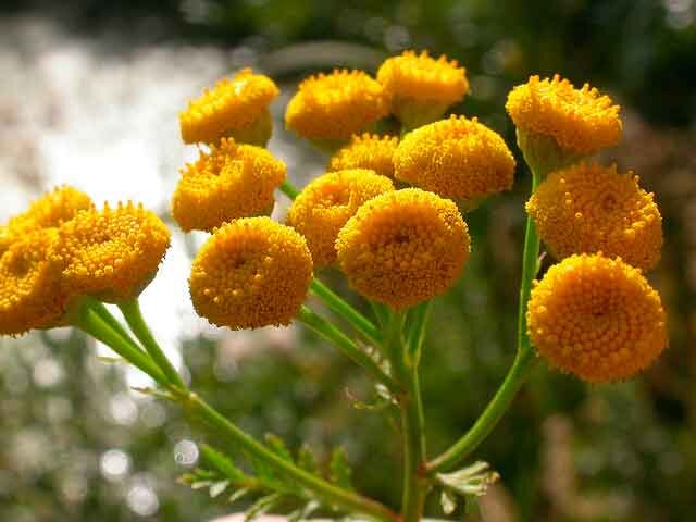 ФОТО: из общедоступных источников