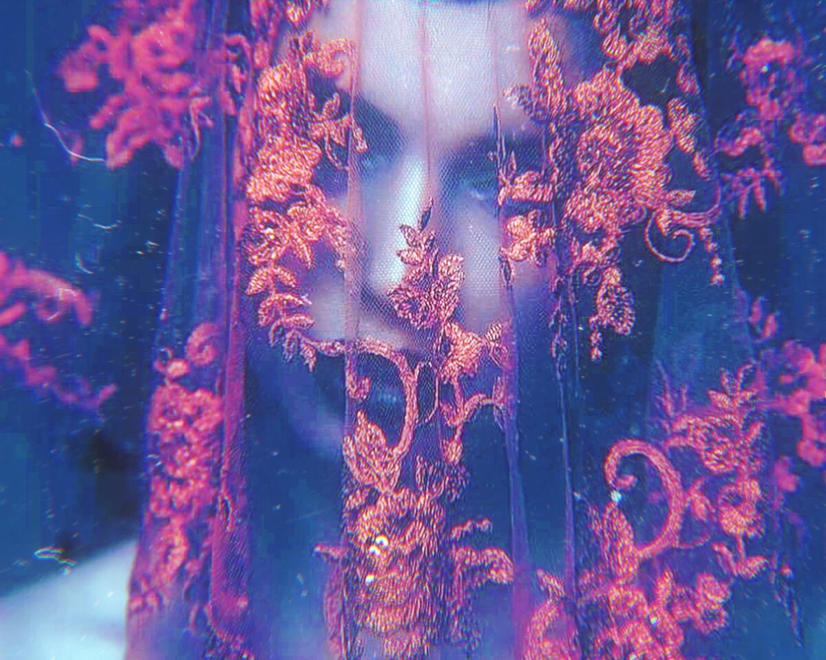 Яндекс Картинки