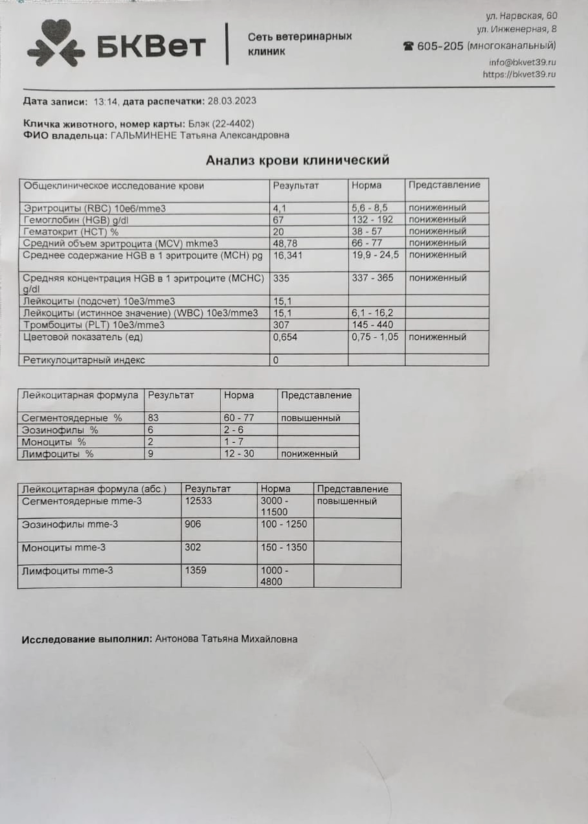 Результаты анализов крови Блэка