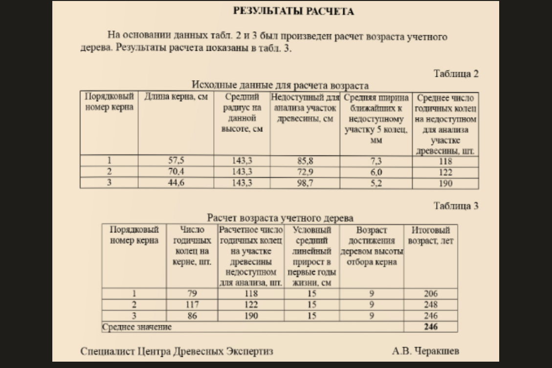 Сколько лет Тюльпановому дереву, растущему в курортом микрорайоне Сочи -  Головинке? | Южная жизнь | Дзен